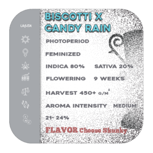 Biscotti x Candy Rain [fem]