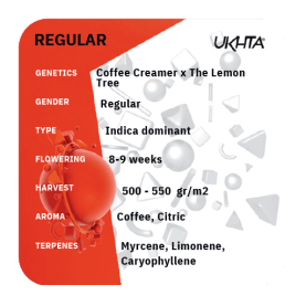 Coffee Creamer x Lemon Tree [reg]