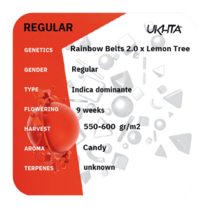 Rainbow Belts x Lemon Tree [reg]